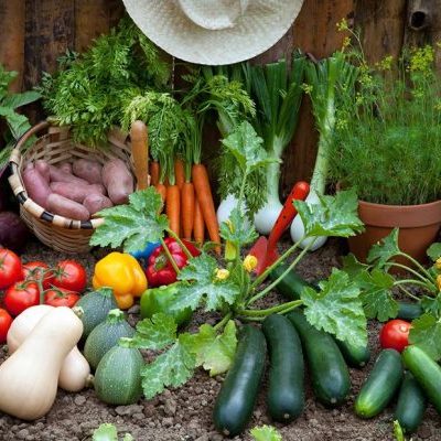 Home-grown produce