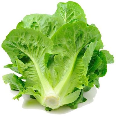 Whole head of lettuce